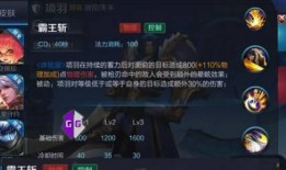 王者项羽爆料视频,揭秘王者荣耀背后的秘密与精彩瞬间