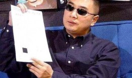 王海爆料简单歌视频完整版,简单歌视频完整版背后的故事与真相