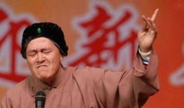 媒体爆料赵本山视频播放,幕后真相引热议